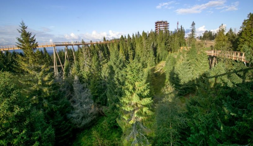Hotel CROCUS **** Vysoké Tatry
